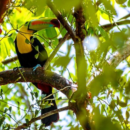 Ecolodge El Sombrero Laguna Yaxha Экстерьер фото
