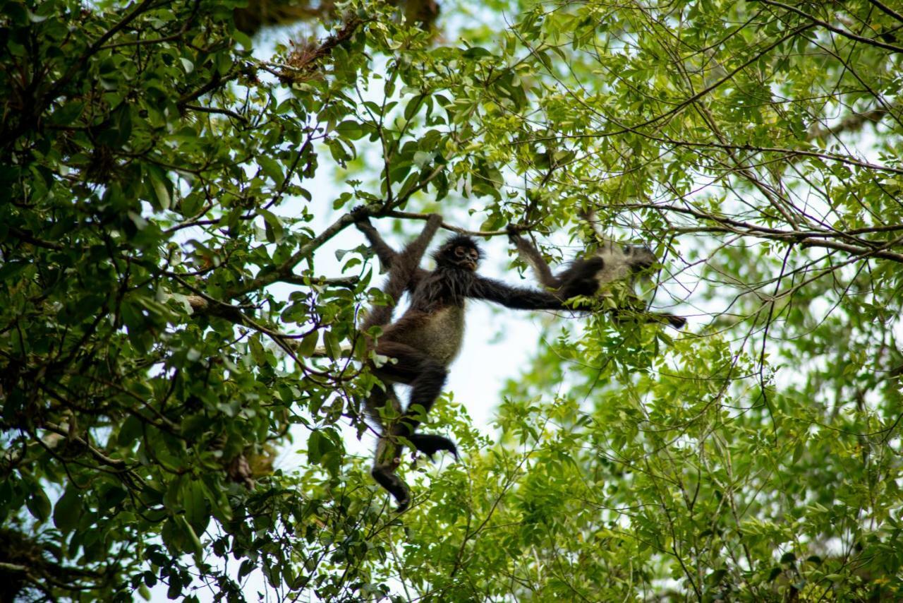 Ecolodge El Sombrero Laguna Yaxha Экстерьер фото